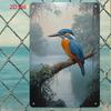 D Flat D Retro Metal Sign    Inches I Have The Ability to Make People Crazy about Decorating Signs  Plaques Rural W