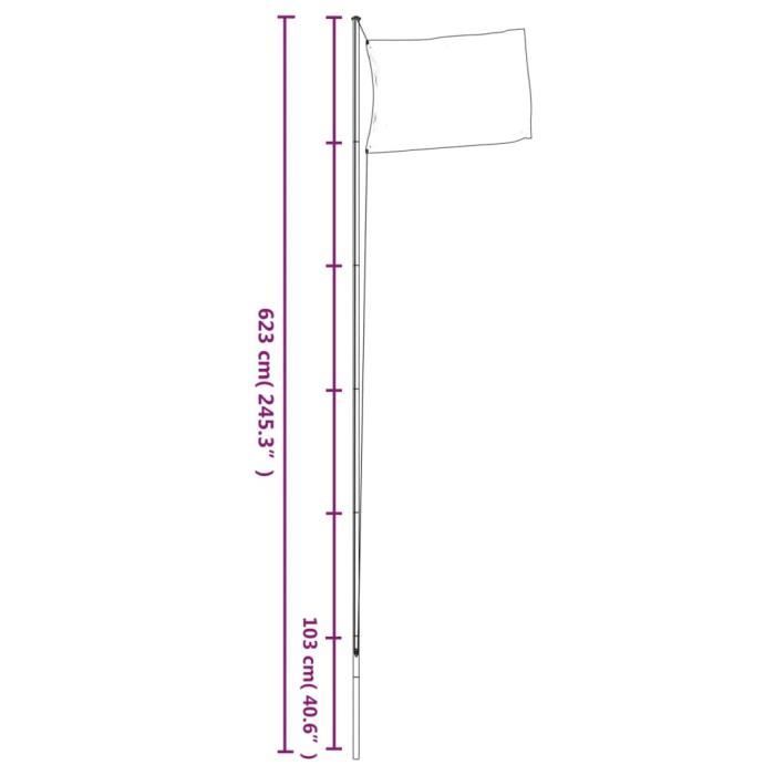 VidaXL Sectional Flagpole Silver 6.23 M Aluminium 153562