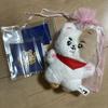 [USED] BTS JIN Hamchinny Plush Toy