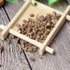 100 Гр Сушеные травы Bupleurum Chai Hu Bupleuri Radix
