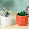 Декоративная ваза для цветов Керамический цветок в скандинавском стиле Красивый имитационный горшок Домашний декор