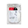 12tb 7200rpm 256mb cache st12000vn0008