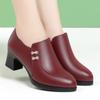 Burgundy Chunky Heel Soft Leather Shoes for Women - Spring & Autumn 2022, Comfortable for Middle-Aged & Elderly