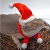 Soft Lizard Santa Hat Ventilate Reptile Apparel Clothes Outfits Comfortable Reptile Hats  Lizard