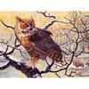 5D DIY Алмазная вышивка Зимняя Снежная Сова Алмазная картина Вышивка крестом Горный хрусталь Мозаика Домашний декор