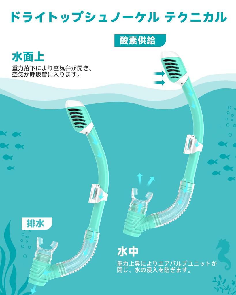 RIOROO Snorkel Swimming Underwater Snorkel Dry Snorkeling Tempered Wide Field of Easy UV Suitable for Boys and Ages Includes Japanese Instructions
