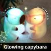 Игрушки капибары Плюшевые, которые излучают свет Детские мультяшные игрушки-животные Подарки Праздник