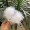White Feather Hairpin Side Clip Hanfu Accessories Korean Feather Headdress Hairpin 