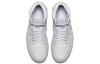 Air Jordan 1 Retro High Premium 'Pure Platinum' AA3993-030