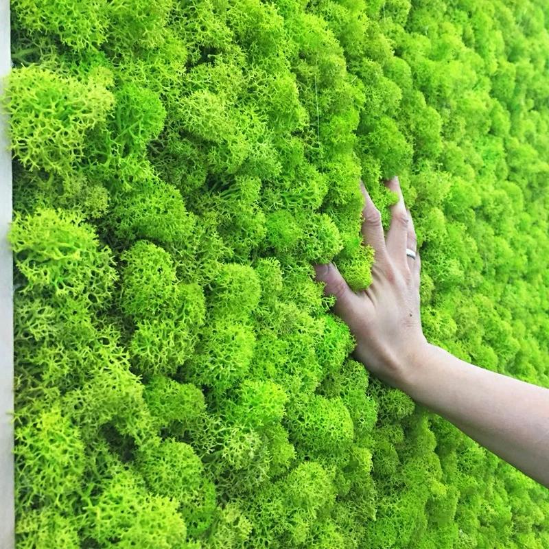20 г искусственное зеленое растение бессмертный искусственный цветок мох трава дома гостиная декоративная стена DIY цветочные аксессуары
