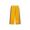Мужские вязаные спортивные штаны Li Ning Цвет: Цейлонский желтый AYKT869-2