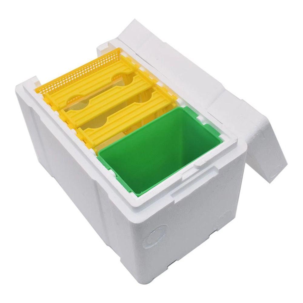 Foam Bee Hive Box Beekeeper Garden Pollination Box Box Bee Mating Box Bee Breeding Case