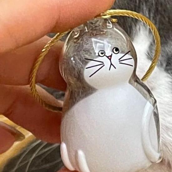 Бутылочка для хранения кошачьей шерсти Портативный сувенир в память о питомце Брелок-подвеска Память о питомце