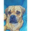 5D алмазная живопись собака вышивка крестиком животное вышивка полная круглая мультяшная картина из стразов мозаичное украшение для дома