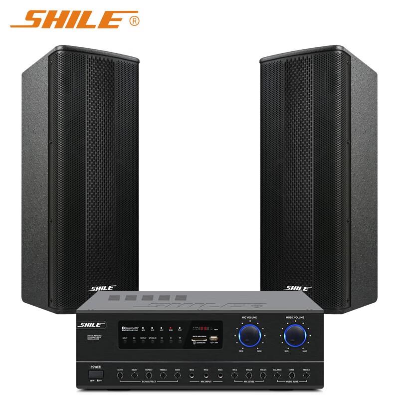 SHILE AV108+BX404 Professional Conference Speaker System