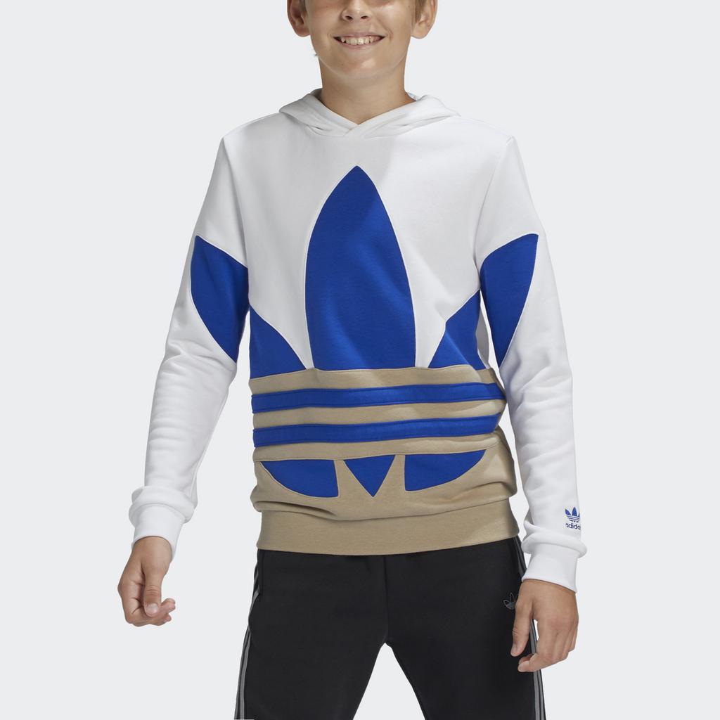 adidas Оригиналы Детские толстовки с капюшоном Средние GE1978