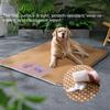 Pet Spring and Summer Summer Mat
