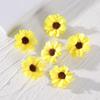 6 шт. Милые ромашки, маленькие цветы, заколки для волос, головные уборы, боковые заколки, новые BB-заколки для волос, девочки