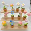 DIY Hand Woven Mini Potted Flowers Rose Crochet Hooks Homemade Tulips Office Ornaments Yarn Products