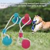 Dog Favorite Multifunction Pet Molar Bite Dog Toys Rubber Chew Ball Cleaning Teeth Safe Elasticity Soft Puppy Suction Cup Dog Biting Toy