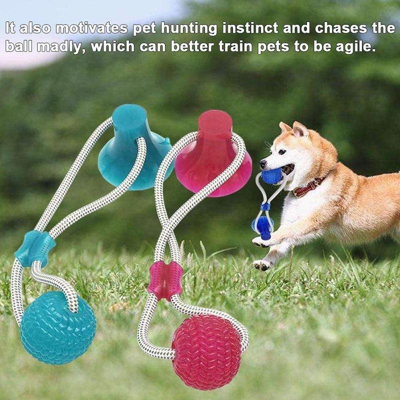 Dog Favorite Multifunction Pet Molar Bite Dog Toys Rubber Chew Ball Cleaning Teeth Safe Elasticity Soft Puppy Suction Cup Dog Biting Toy