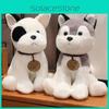 Simulation Cartoon Husky Schnauzer Chihuahua Dog Plush Toy Children Doll Gift