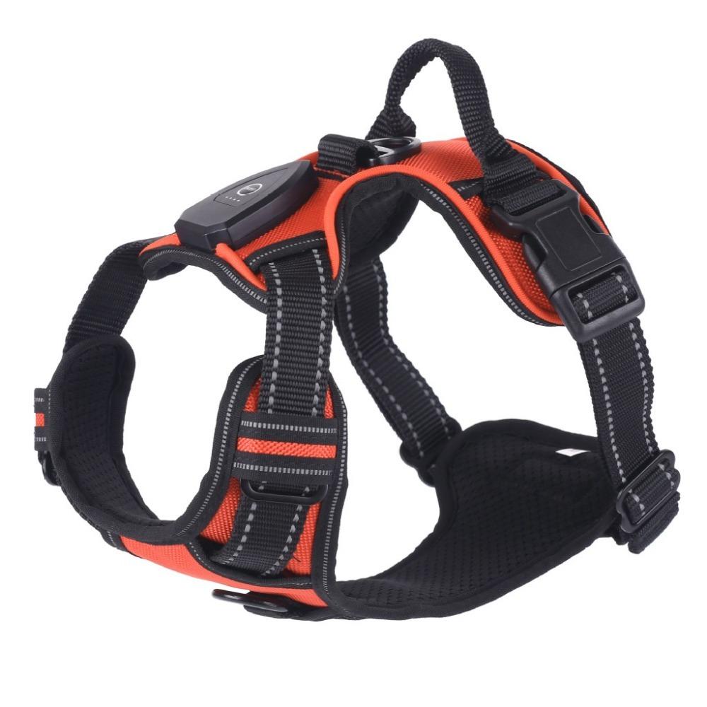 Light Up LED Dog Harness Rechargeable Adjustable Luminous Pet Chest Strap Flashing Padded Collar Dog Glow Vest for Night Walking