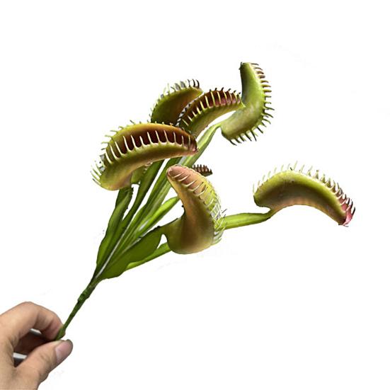 Практичная имитация растений, не выцветающая, экологически чистая, создает жизненную силу