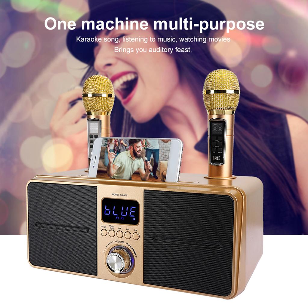 Family KTV High Quality Sound Kit Integrated Wireless Microphone Live Audio Card Bluetooth Karaoke