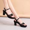 Women's Sandals Summe Woman Sexy High Heels Ladies Dress Shoes Female Leather Platform Wedge Heel Elegant Sandal
