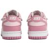 Nike Dunk LTDZ Pink Mist Adventure, Сумка для покупок Нескользящие Износостойкие Низкие Скейтбордические Кроссовки Женские Розовые DD1873-112(Team113-S-BOX)