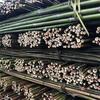 Bamboo Garden Stakes and Trellis Poles