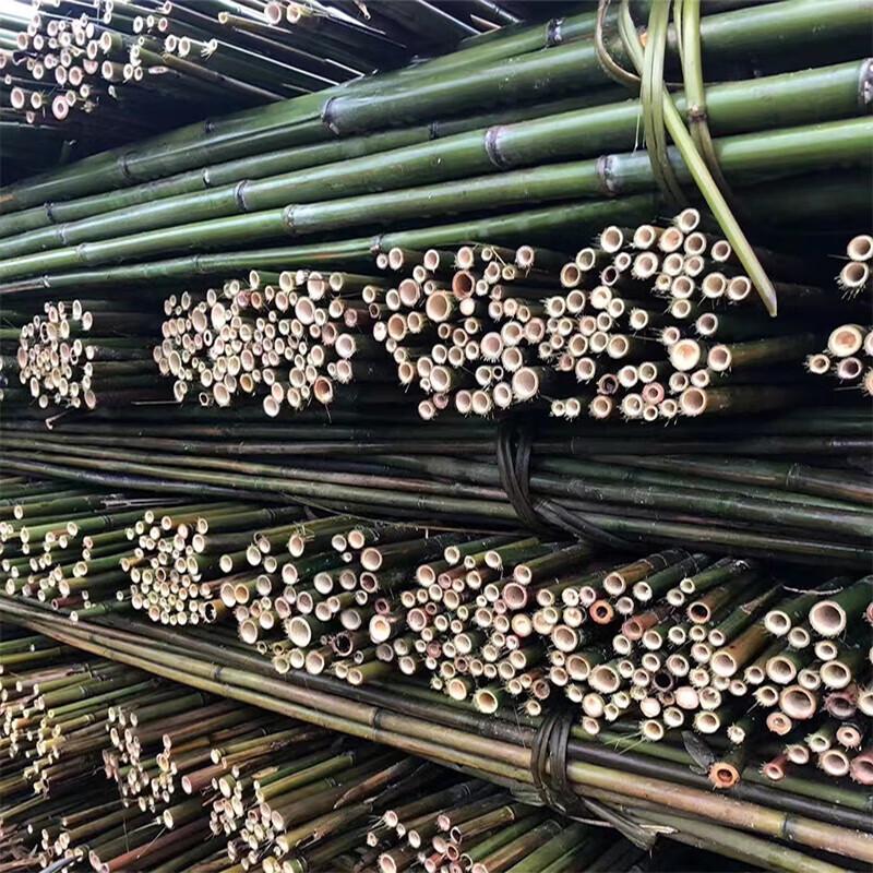 Bamboo Garden Stakes and Trellis Poles