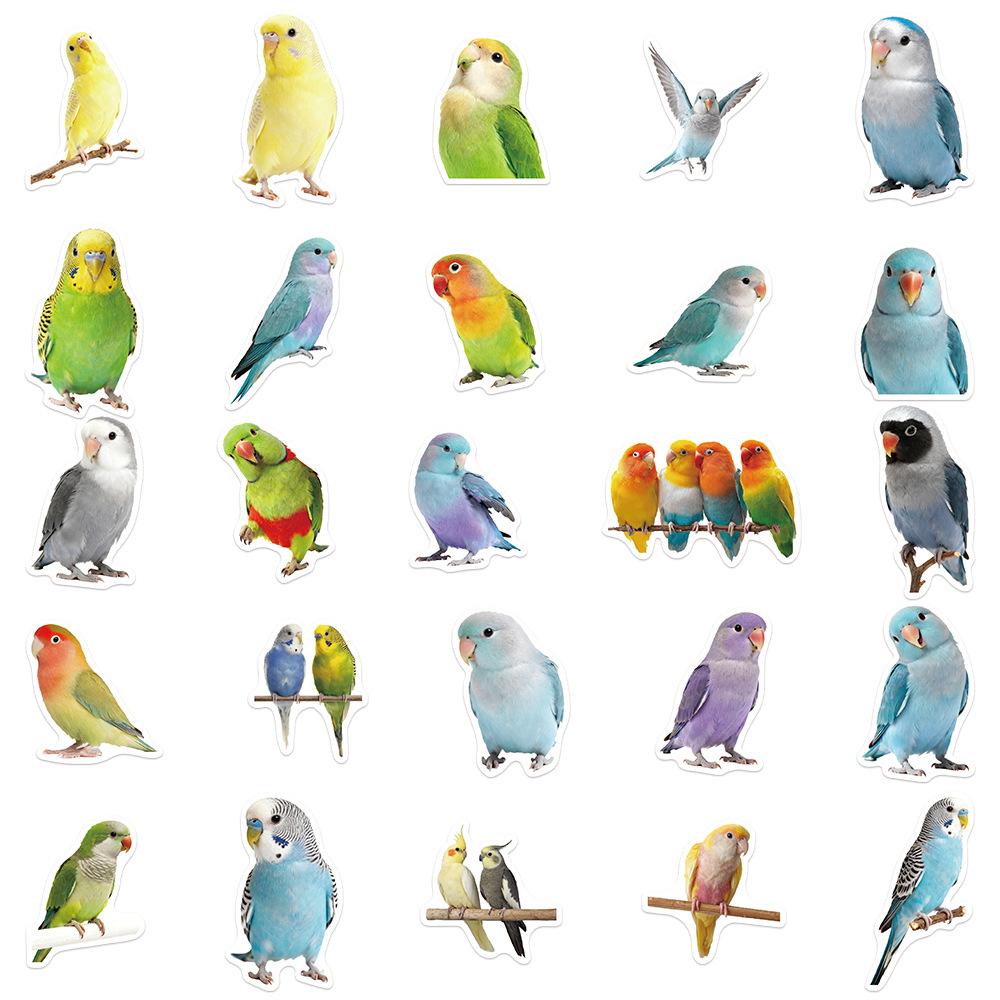 50Pcs/Set Parrot Series 03 Waterproof Stickers DIY Fashion Doodle Decals Stickers
