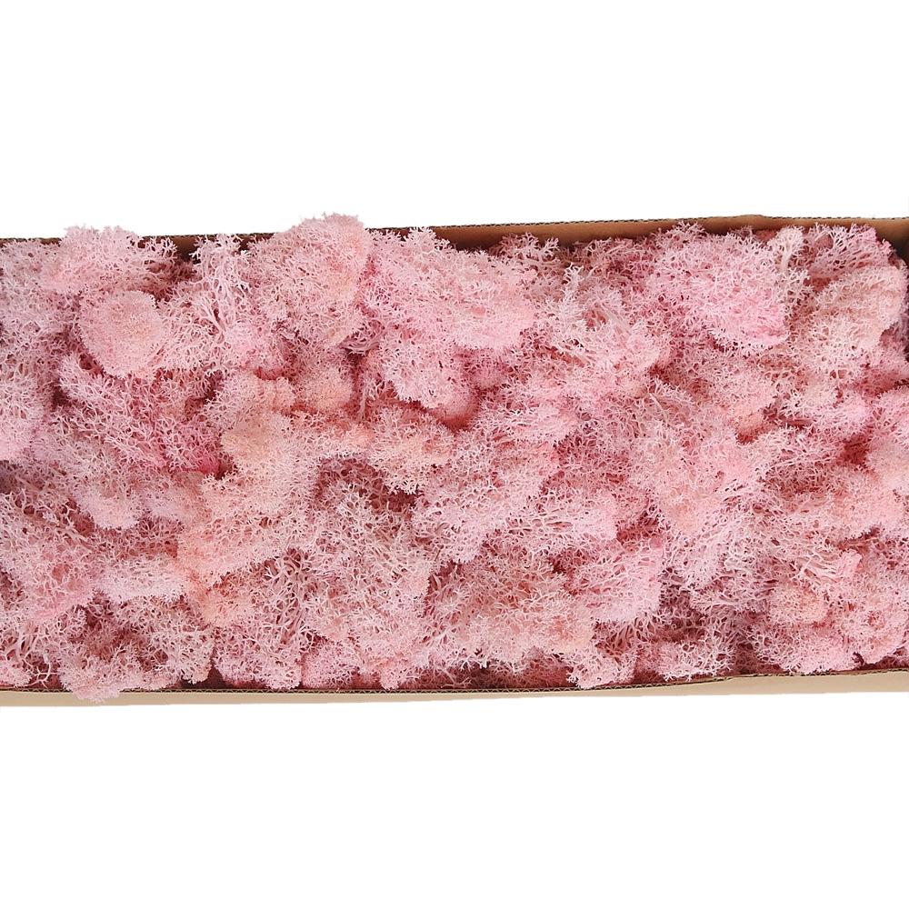 Preserved Flower & Moss Wall Decoration Kit: Flower Gift Box Materials