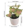 Green Green Plant Potted White Flowerpot Simulation Plant Potted Creative Desktop Ornament  Gift