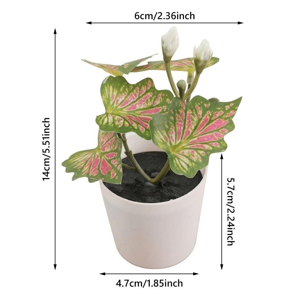 Green Green Plant Potted White Flowerpot Simulation Plant Potted Creative Desktop Ornament Gift