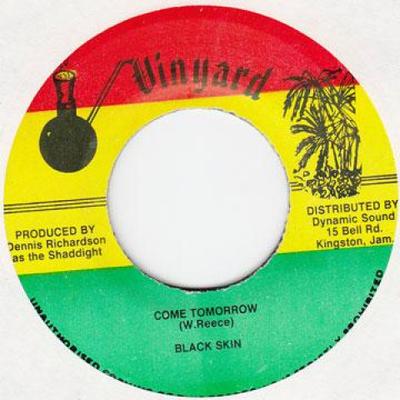 7-дюймовая пластинка BLACK SKIN - Come Tomorrow Vinyard 1992 Ямайка Регги, Ска и Даб