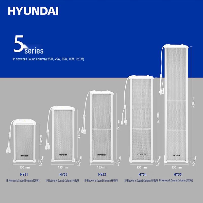 Hyundai IP Network Broadcasting Audio Systems CN plug (adapter included) (CN version)