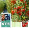 MoonSpry Plant Bionutrition Bar Plant Fruit And Vegetable Potting Buds Flower Hair Root Growth Fertilizer Bar