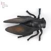 Children's Educational Insect Model Toys: Butterfly, Ladybug, Beetle, Bee, and Grasshopper