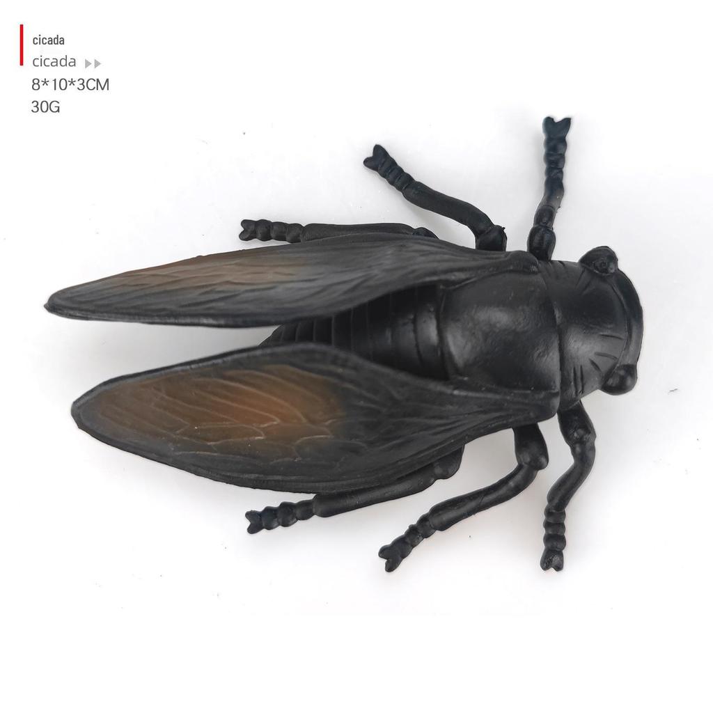 Children's Educational Insect Model Toys: Butterfly, Ladybug, Beetle, Bee, and Grasshopper