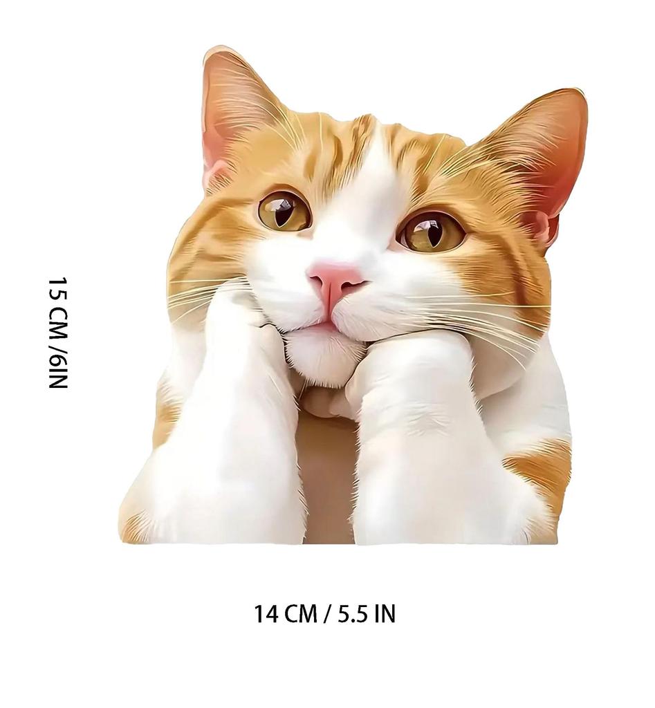 Two Thinking Cat Pack Vinyl Decal Sticker, Waterproof Poly Beer Covered for Cars, Laptops and Smooth Surfaces A098