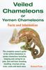 Книга Veiled Chameleons or Yemen Chameleons : Facts and Information