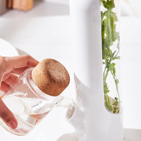 Хранитель трав для холодильника. Консервант для овощей. Хранитель свежести кинзы. Водонепроницаемые контейнеры для хранения тимьяна и укропа. Инструменты для консервации розмарина.