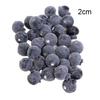 Blueberries Fruit Home Decor Kitchen Display Offices