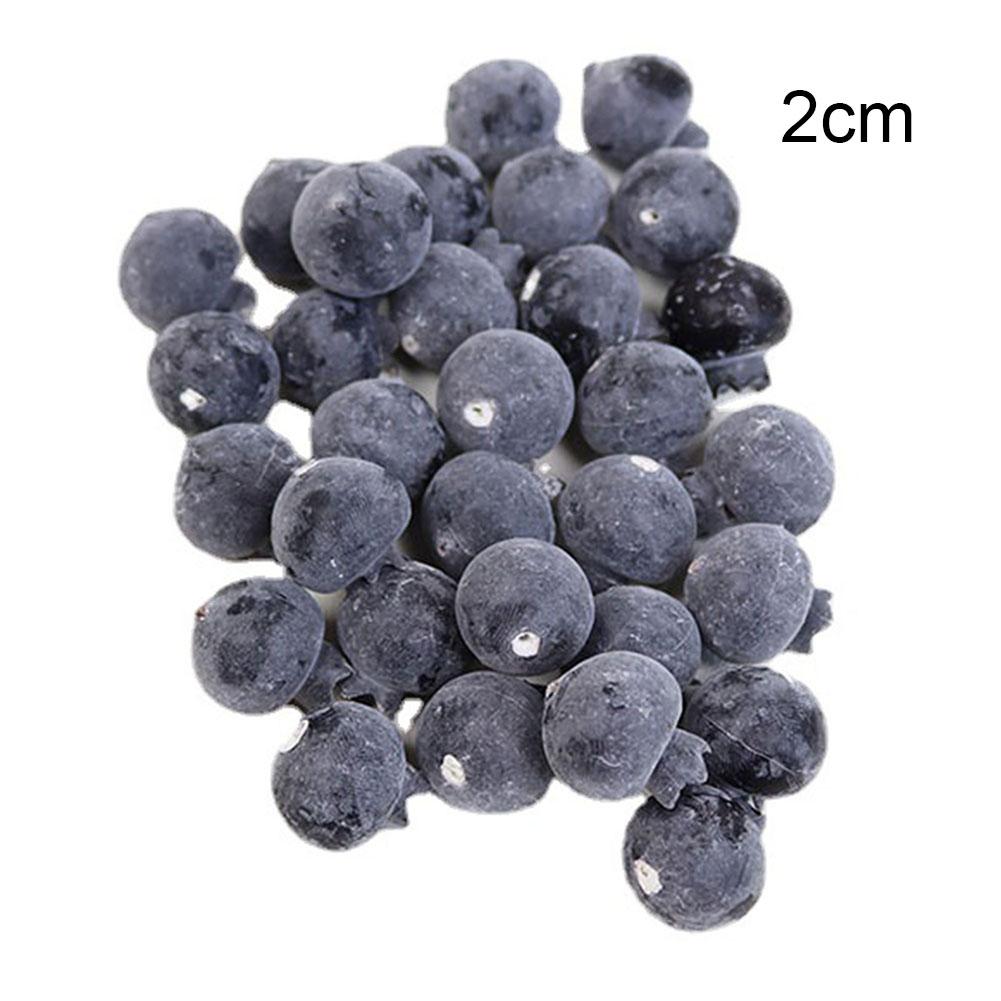 Blueberries Fruit Home Decor Kitchen Display Offices