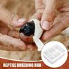 with Thermometer Turtles Egg Incubator Tray 16 Grids Reptile Breeding Hatchery  Incubator Supplies