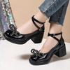 Fashion 2025 Ladies Shoes Buckle Strap Women's High Heels Fashion Shallow Office and Career New Butterfly-knot Plus Size Mary Jane Shoes