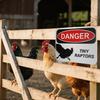 Chicken Hazard Sign 3D Printed Chick Danger Sign Indoor Outdoor Home Farm Garden Decorative Tiny Raptors Warning Sign